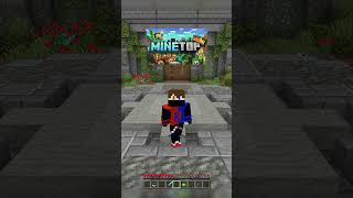 Finding Best Minecraft Server