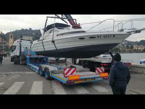 bayliner 35 avanti