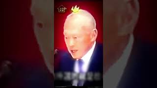 I Have Never Believed Democracy Brings Progress #lessonslearned #leekuanyew