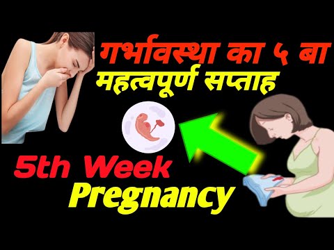 प्रेगनेंसी का पांचवा बेहद महतवपूर्ण सप्ताह ||5th Week Pregnancy||