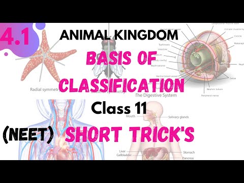 Basis Of Classification | ANIMAL KINGDOM | Neet Short Trick's | Class 11 NCERT Biology for NEET 2021