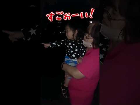 《1歳9ヶ月》おばあちゃんと孫　初めて見た花火#日常#成長#子供#1歳児 #shortvideo#癒し#癒し#あかちゃんのいる生活#ショート#育児#short#shorts#赤ちゃん#親子#成長記録