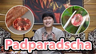 สาระศาตร์พลอย EP.3 : Padparadscha (พัดพารัดชา) อัญมณี ณ แดนสนธยา l สาระดีๆจาก Collen Jewelry