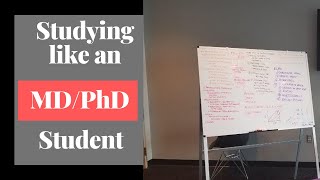 Good Study Habits To Be An MD/PhD Student | Study Tips