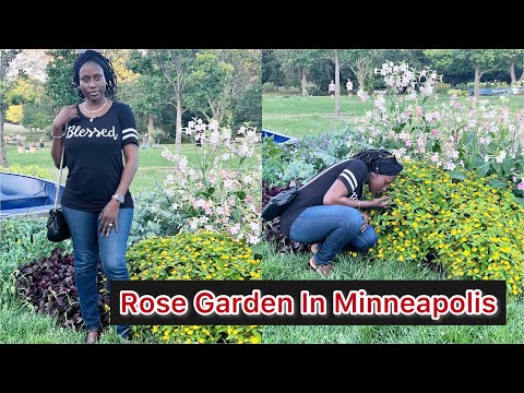 Most Seen Places In Minnesota: The Lyndale Park Rose Garden