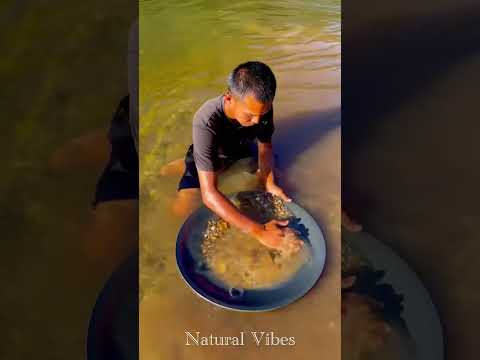 He Found Something Shiny in the River! 😳✨ #goldpanning #treasurehunt #riverfinds #shorts