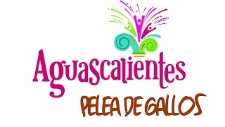 Pelea De Gallos - Aguascalientes