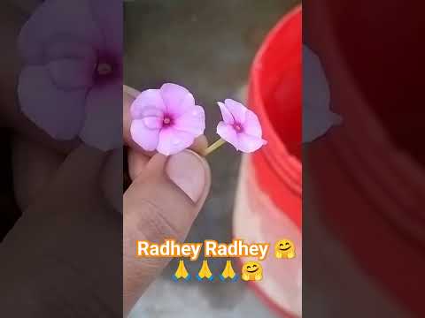 Tere charno se lipat jate hai