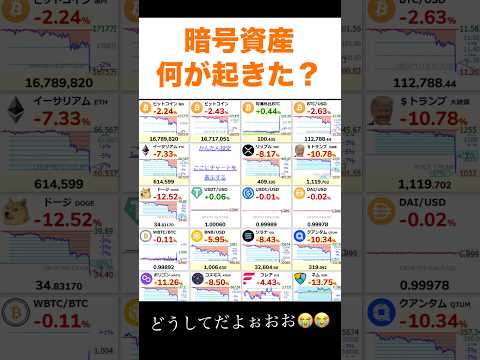 【悲報】暗号資産一斉下落 #shorts #bitcoin  #仮想通貨 #投資 #お金 #株 #メタプラネット