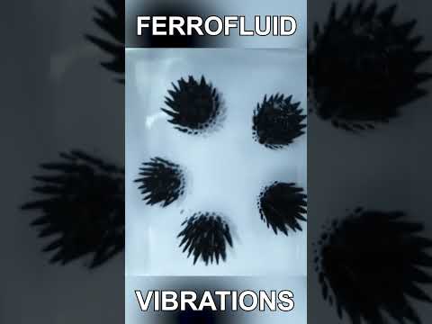 Ferrofluid Vibrations