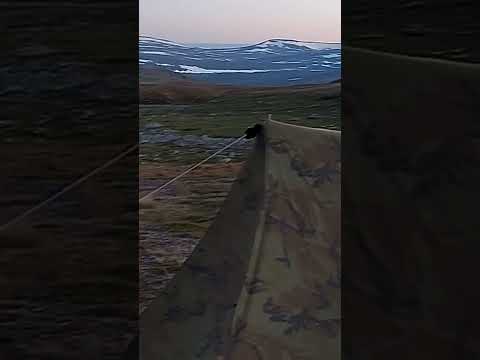 ARCTIC CAMPING IN POWERFUL WIND#shorts