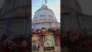 Maa Waqt Badlegi | Jai Kalka Maa | Shri Kalkaji Mandir | WhatsApp Status | #yashbjkm #matakalka #jay