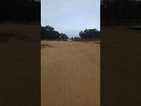 camino