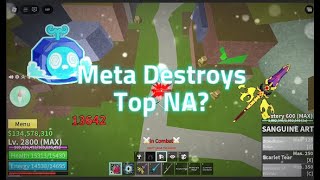 This META Build Destroys "Top NA" (Poke3b 🤡) | Blox Fruits