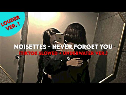 𝑁𝑜𝑖𝑠𝑒𝑡𝑡𝑒𝑠 - 𝑁𝑒𝑣𝑒𝑟 𝐹𝑜𝑟𝑔𝑒𝑡 𝑌𝑜𝑢 (louder,underwater + TikTok slowed ver.)