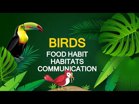ICSE/SCIENCE/CHAPTER 3/BIRDS/FOOD HABITS/HABITATS/COMMUNICATION