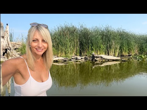Solo Paddle In Horicon Marsh