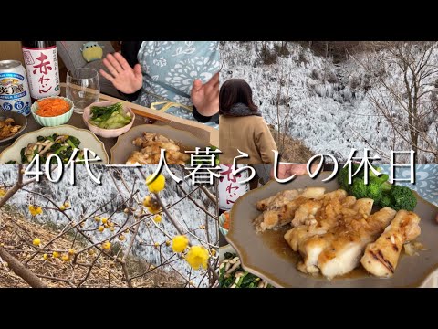 【40代一人暮らしの休日】氷柱/チキンステーキ/赤ワイン