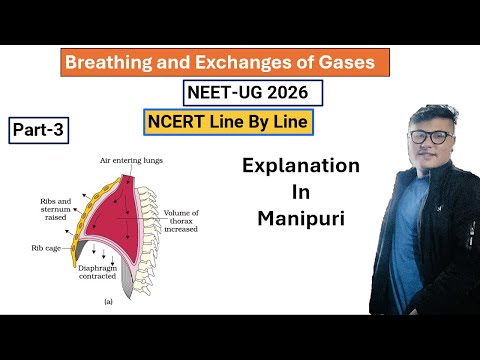 Breathing and Exchanges of gases || Part- 3 || NEET UG Foundation #ncert #neet #latestnews