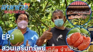 สามห่วงตะลุยสวน EP1 : ส้มโอ - สวนเสริมทรัพย์