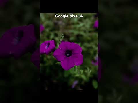 Google pixel 4 Camera in 2024 #google #pixel #pixel4 #googlepixel #pixelcamera #smartphone