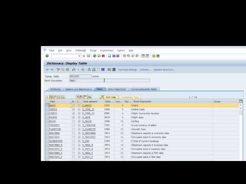 SAP ABAP tutorial - Navigation & Database Concepts - Day 2 Continued