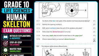 Grade 10 Human Skeleton Exam Question | Support System in Animals| Past Exam Paper| Life Science