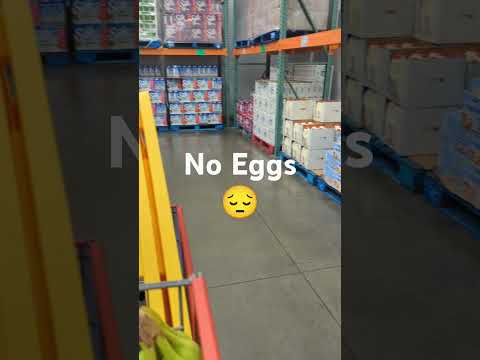 Where are the EGGS!! #preparedness #eggs #cosco #birdflunews