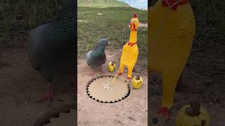 Creative Quick DIY Pigeon Bird Trap Using Paper #camping #outdoors #bushcraft