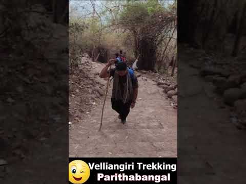 Velliangiri Trekking #shortsfeed #shorts #shortstamil #velliangiri #velliangirihills #ishafoundation