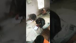test exam