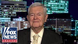 Newt Gingrich: These people are CRAZY
