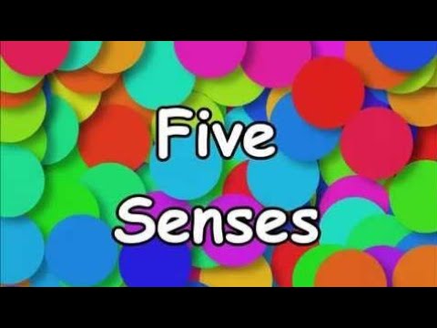 What is a 5 SENSES Poem? Bukhari, sRhymes #kids song