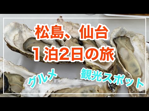 1泊2日で松島、仙台旅行に行って来ました。グルメ、観光に大満足！牛タン、牡蠣小屋、瑞巌寺、円通院、仙台うみの杜水族館