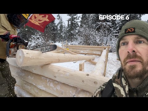 Log Walls, Stacking Errors Emerge? |EP6| Log Cabin Build on Off-Grid Homestead