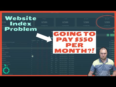 Website Index Problem: Learning From LearnWire's $550 Per Month Mistake
