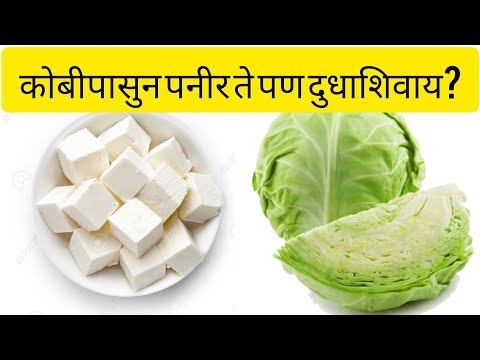 Ek baar bana ke dekho | Ekada nakki karun bagha | एकदा ही रेसिपी बनवून बघा