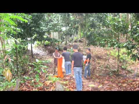 ปลูกป่าถวายในหลวง สหายองค์กร.mp4