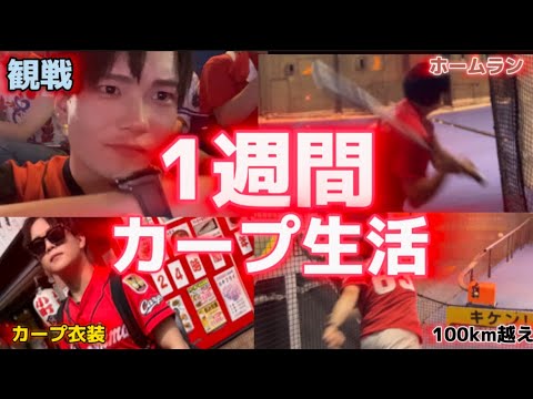 1週間カープ生活したら愛が深まった❤️