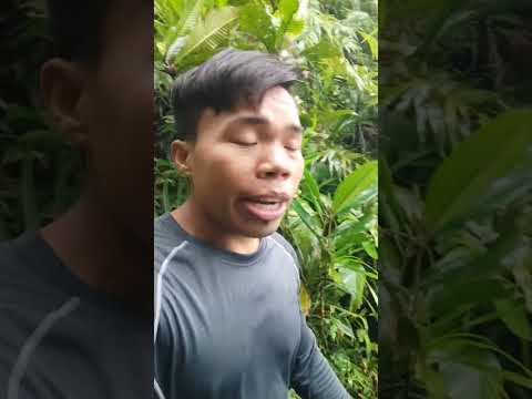 ang sosonod na mapapanood ay makapigil hininga. Abangan...