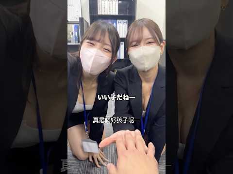 どっちに飼われたいですか？🐶
