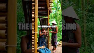 Constructing a Jungle Shelter Using Bamboo