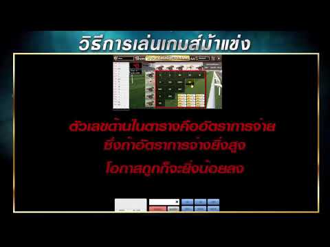 พนันแข่งม้าออนไลน์ กับ Databet88.net