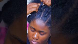 ✨I love protective styles ✨ #4chair #4cprotectivestyles #natrualhair #naturalhairstyles #diybraids