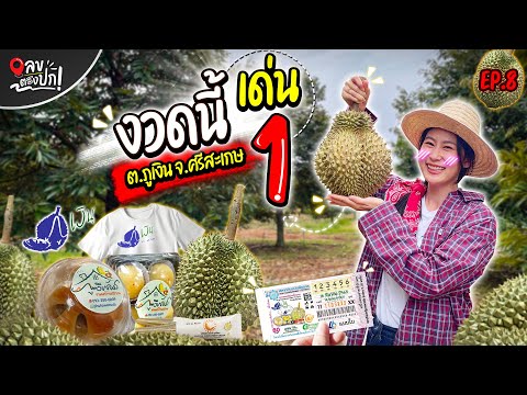 งวดนี้เด่น 1 ต.ภูเงิน จ.ศรีสะเกษ | เลขตรงปก EP.8