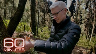 Anderson Cooper on witnessing the monarch butterfly migration