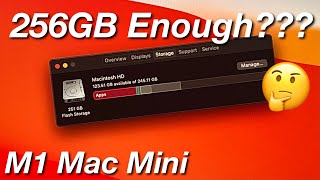 🛑 Watch This Before You BUY The NEW 256GB M1/M2 Mac Mini