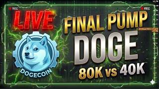 CRYPTO SUPER CYCLE COMING OR BEAR MARKET TRAP FOR BITCOIN, MSTR, AND DOGE? Dogecoin and Bitcoin LIVE