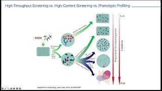 King's BHF Centre Technology Workshop High - Throughput Screening