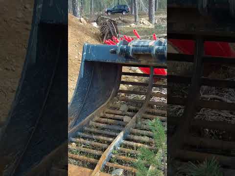GOLDMINING AREA FIRST CHECK AFTER WINTER#shorts